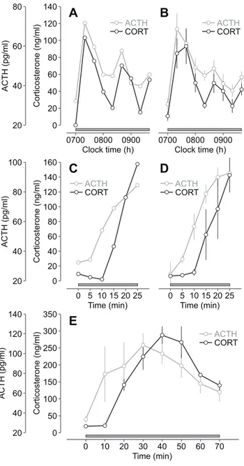 Figure 4. ACTH and glucocorticoid response to constant CRH infusion. (A–B) Individual (A) and mean (B) ACTH and corticosterone (CORT) oscillations in response to constant CRH infusion (0.5 mg/h;