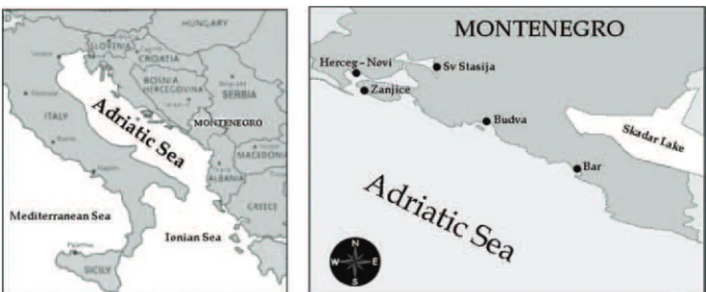 Fig. 1. Sampling locations in the southeastern Adriatic Sea, Montenegro: 1. Sveta Stasija,  2