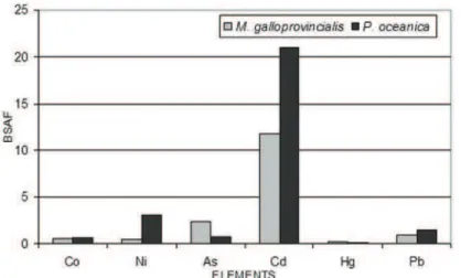 Fig. 3. Mean biosediment accumulation factor (BSAF) values in  M. galloprovincialis and P