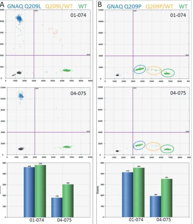 Fig 1. GNAQ mutation detection in UM by dPCR. Two color digital PCR is presented as a 2D plot