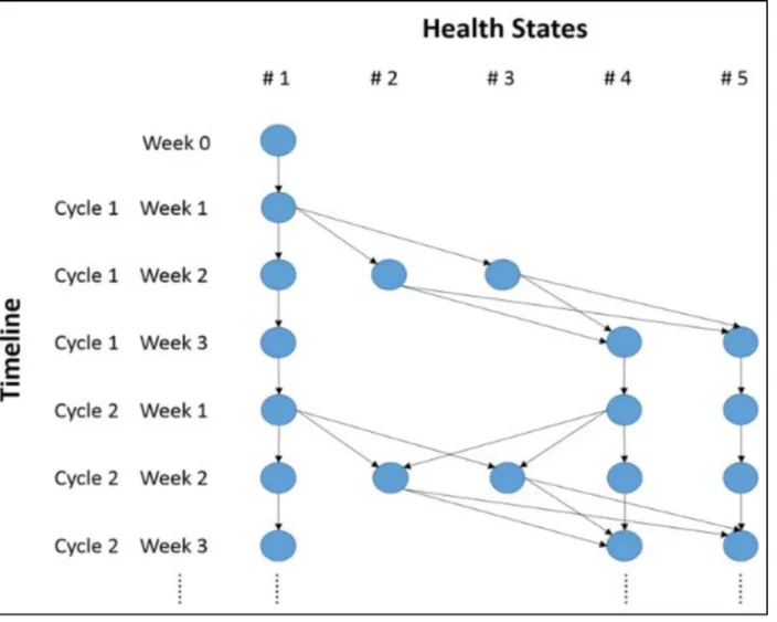 Fig 2. Markov trace of the cohort simulation for the first two cycles of chemotherapy.