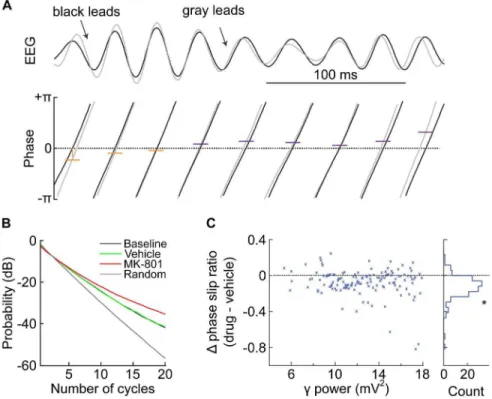 Figure 4. Analysis of FP phase relationship among electrodes. A) Sample trace of c-band FP recorded simultaneously from two different electrodes in mPFC
