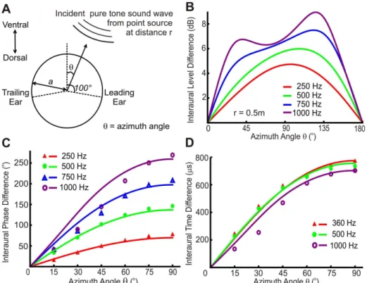 Figure 1. Model predictions for human ILDs and ITDs. A, Model to determine ITD or ILD variation with azimuth angle h for the experimental set up in Mills [15], Schmidt et al
