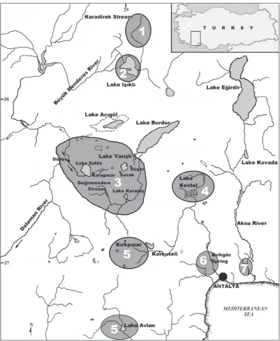 Figure 1.  Map showing localities of Pseudophoxinus species in western Anatolia 1 P. maeandricus  2  P