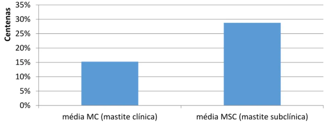 Gráfico 3- Média CCS mensal . 