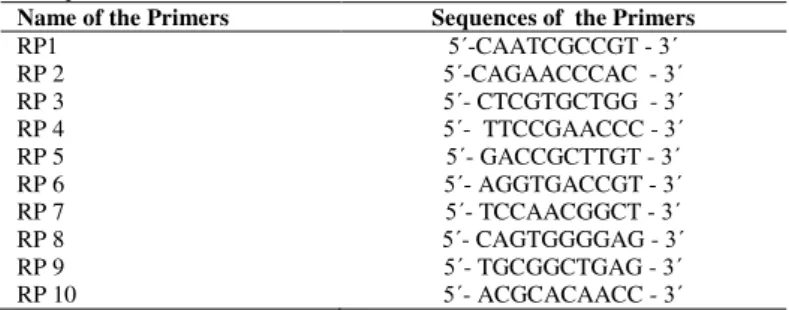 Table  1  Primers  used  for  the  identification  of  three  Gymnema  species  RAPD  techniques 
