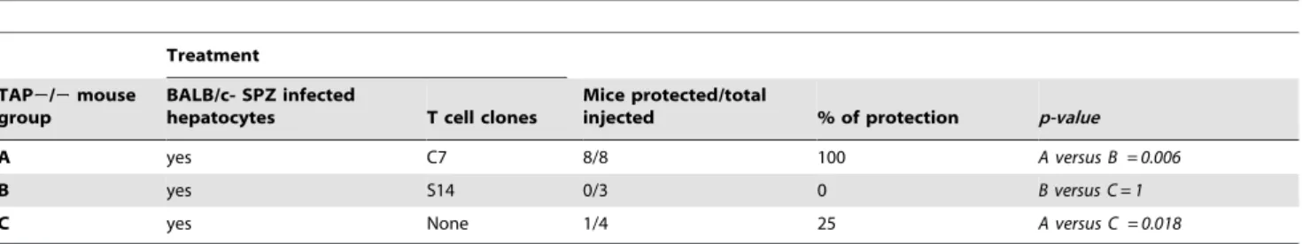 Table 1. Infected hepatocytes present a PbCSP-specific epitope to primed CD8+ T-cells and protect mice against SPZ challenge.