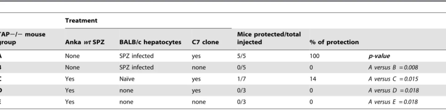 Table 3. BALB/c mice injected with iSPZ-loaded hepatocytes are protected against SPZ challenge.
