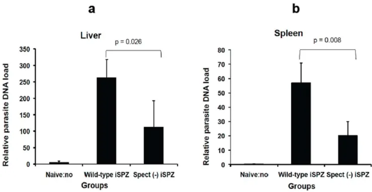 Figure 2. Relative comparative wt and spect ( 2 ) parasite DNA load in spleen and liver of immunized mice