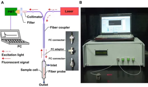 Figure 1. Schematic diagram (A) and prototype (B) of all-fiber biosensor. (A) Twenty percent of the 643 nm excitation light was conducted from the semiconductor laser to the fiber probe through a fiber coupler with FC connectors as the linker