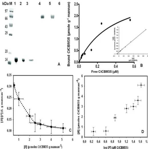 Table 2. Binding parameters of CtCBM35 on binding with insoluble mannan derived from adsorption isotherm analysis.