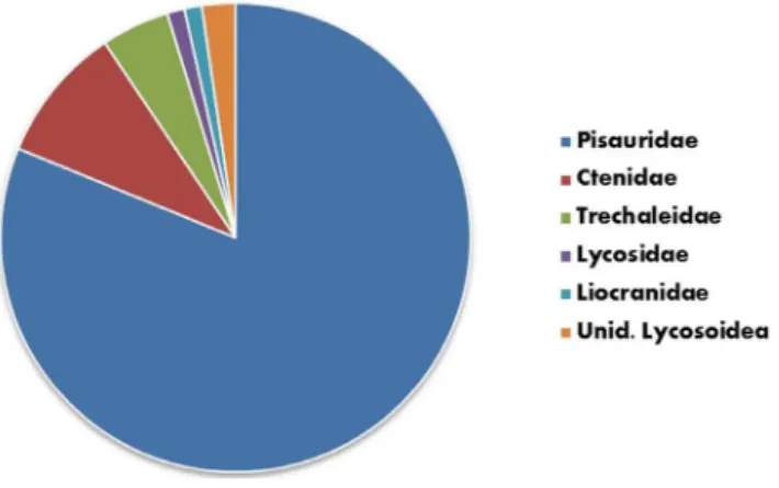 Figure 8. Relative importance of different spider families as fish predators – based on 89 incidences reported in Table 1.