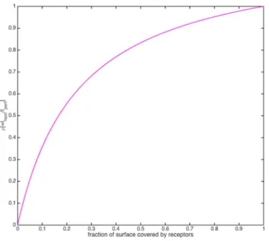 Fig 2. Plot of receptor efficiency versus percent receptor coverage. Similar to a Monod curve.