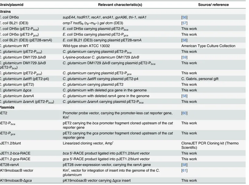 Table 1. Strains and plasmids used in this study and their relevant characteristics.