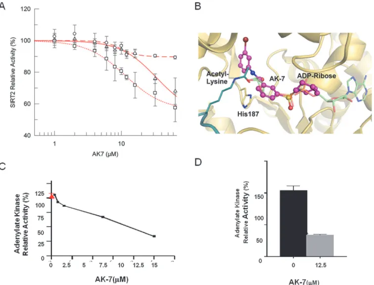 Figure 1. Characterization of the SIRT2 inhibitor AK7 in vitro and in a cell model of aSyn toxicity