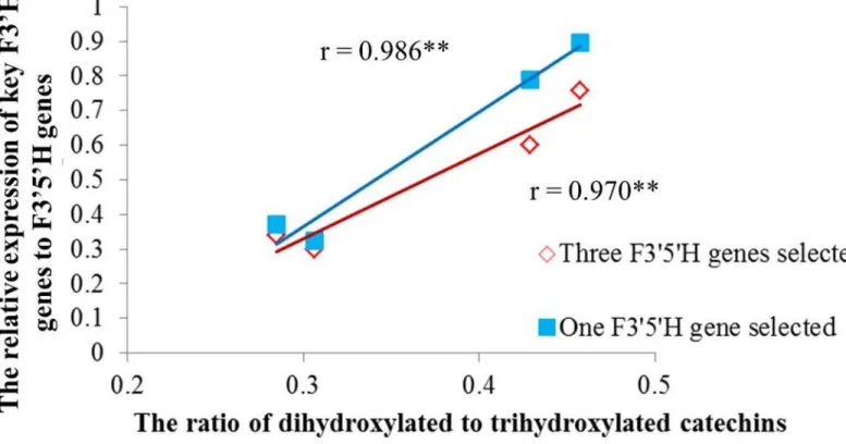 Fig 5. Correlation analysis of the relative expression of key F3 0 H genes to F3 0 5 0 H genes and ratio of dihydroxylated to trihydroxylated catechins in Longjing43 and Zhonghuang2 under control and shading treatment