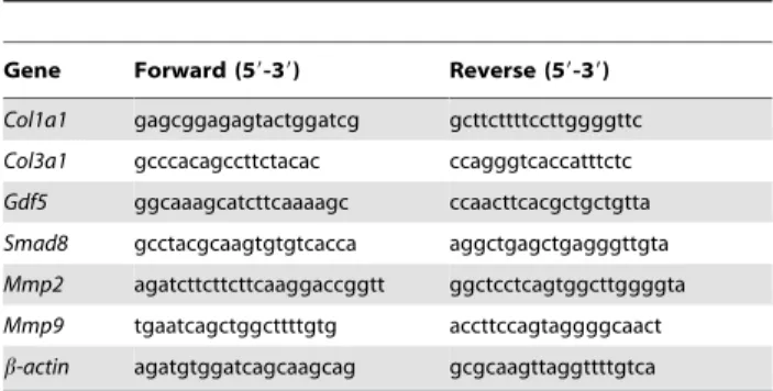 Table 5. Primer sequences for Real-time RT-PCR.