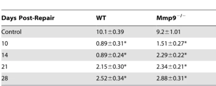 Table 2. Stiffness [N/mm] of WT and Mmp9 2 / 2 mouse FDL tendon repairs over time up to 28 days.