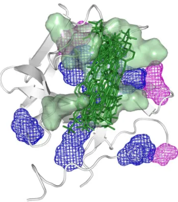Figure 7. FGF2 hydration changes induced by sm27 binding.