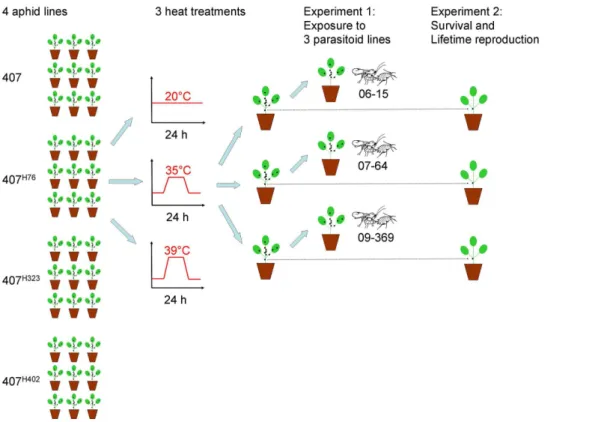 Fig. 2. Fig. 2 is shown with raw values to assist visual inspection, but general patterns are unchanged compared to transformed data)
