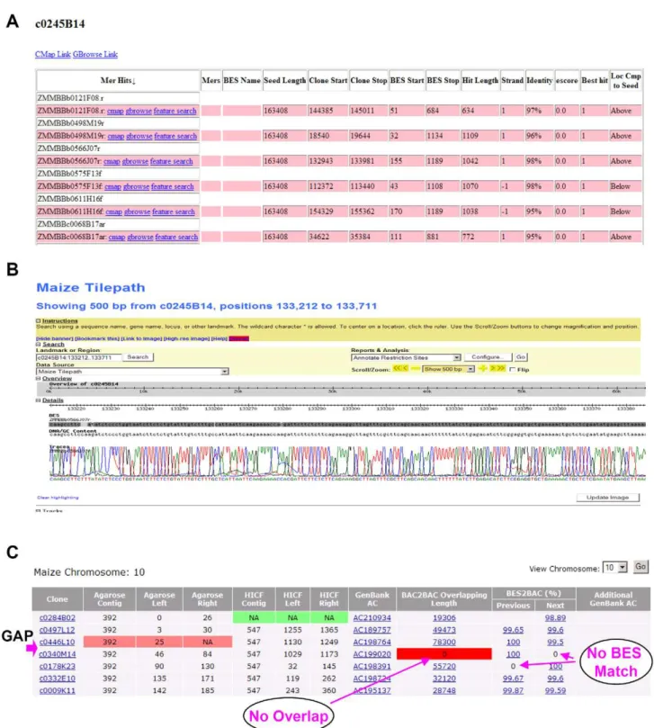 Figure 1. Sequencing pipeline for MTP clone selection and gap analysis. (A) An example of STC-based clone walking