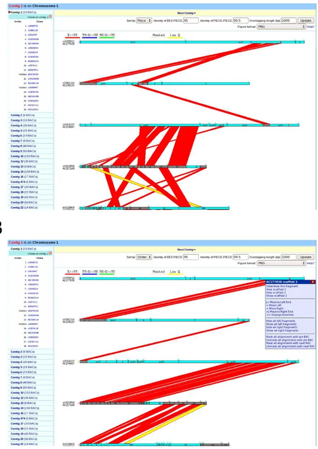 Figure 3. Direct comparison of sequence overlap between adjacent clones before (A) and after (B) the semi automated AGP pipeline.