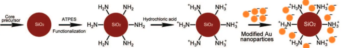 Figure 24. Schematic illustration of the synthesis of gold/silica/CdSe nanoparticles–