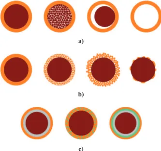 Figure 1. Schematic illustration of core/shell particles with  different type of: a) cores, b) shells and c) core/shell