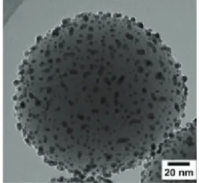 Figure 11. Different strategies for the functionalization of core-particles