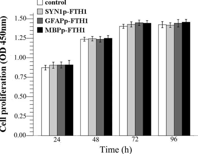 Fig 2. Effects of the ferritin transgene on human adipose tissue-derived mesenchymal stem cell (hADMSC) proliferation