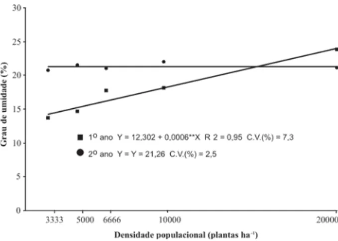 Figura 5 - Total de fungos identificados no teste de sanidade das sementes, provenientes do primeiro e do segundo ano de produção do cafeeiro IAPAR 59, em função do aumento na densidade de plantio