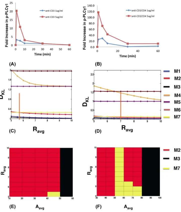 Figure 4. Models containing Itk dimers and dueling feedbacks also show higher robustness for polyclonal T cells stimulated by anti-CD3 antibodies