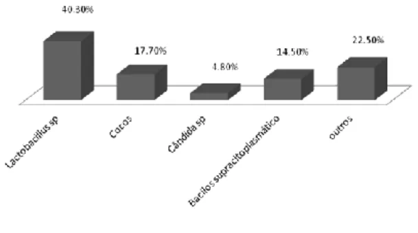Figura  3:  Quantificação  dos  Microrganismos. 