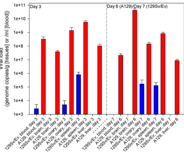 Fig 2. Levels of ZIKV viral RNA in blood, brain, ovary, spleen and liver samples in IFN-α/β receptor-deficient (A129) and wild-type (129Sv/Ev) mice post-challenge