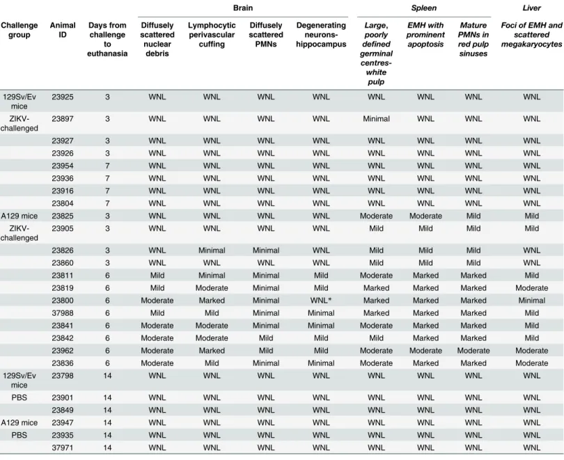 Table 1. Histology changes observed in IFN-α/β receptor deficient (A129) and wild-type mice (129Sv/Ev) challenged with ZIKV or mock-challenged with PBS.