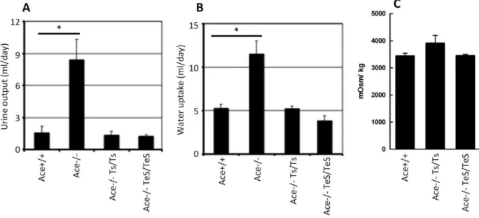 Figure 4. Secreted sACE expressing mice exhibit normal kidney functions. Five, age-matched adult mice (Wt, Ace+/+, KO, Ace-/-, Ts, Ace-/- Ace-/-Ts/Ts, TeS, Ace-/- TeS/TeS) were tested using metabolic cage for a period of five consecutive days