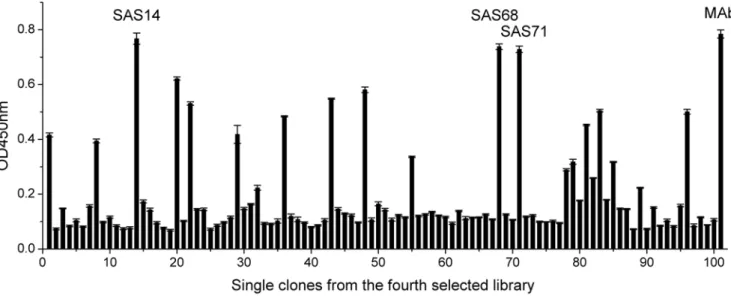 Figure 3. Clones were isolated from the fourth selected antibody library. Each clone was expressed for producing soluble scFv, and the binding activity of each scFv and the anti-SM2 MAb (positive control) was determined by ELISA (in triplicate)