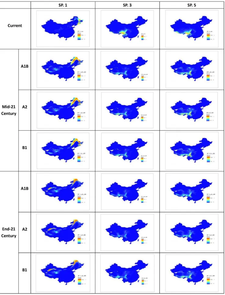 Figure 2. Projected distribution of selected species (Species No. 1, 3, and 5).
