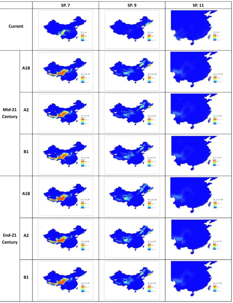 Figure 3. Projected distribution of selected specie (Species No. 7, 9, and 11).