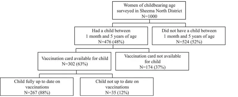Fig 1. Derivation of the sample of children and mothers.