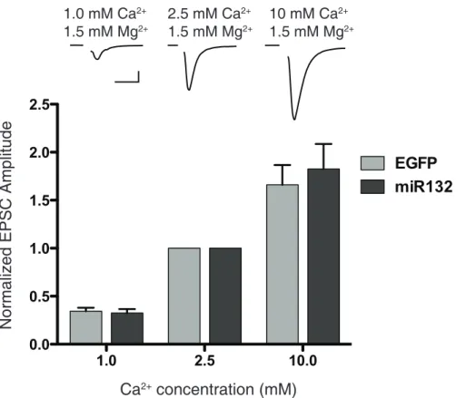 Figure 5. Calcium dependence of release is not altered by overexpression of miR132. External calcium was varied while extracellular magnesium concentration remained constant at 1.5 mM