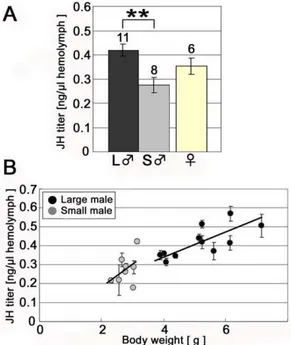 Figure 4. Comparison of JH titer between large and small males during the early prepupal period