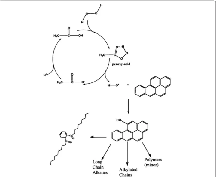 Figure 2 Hipothesized peroxy acid process with banzo[a]pyrene as a model contaminant.