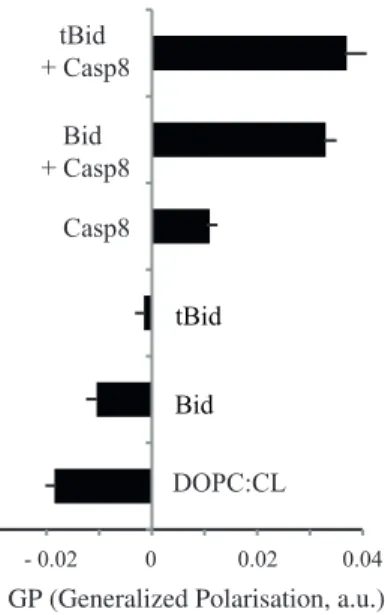Figure 2. Analysis of the effects of caspase-8, Bid and tBid on the Laurdan fluorescence of CL + and CL 2 liposomes