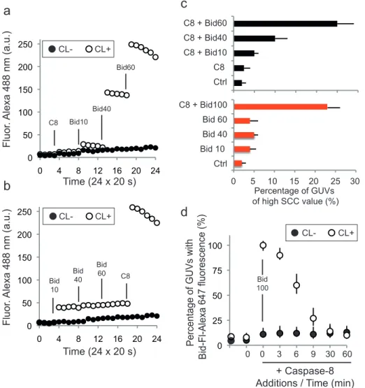 Figure 5. Flow cytometric analysis of the interaction between CL-GUVs and caspase-8-Bid
