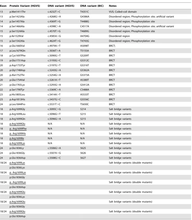Table 1. BRCA1 variants analyzed in this study.