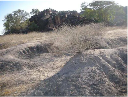 Fig. 2. Erosion in Khor Dunya (photo taken January 2007).