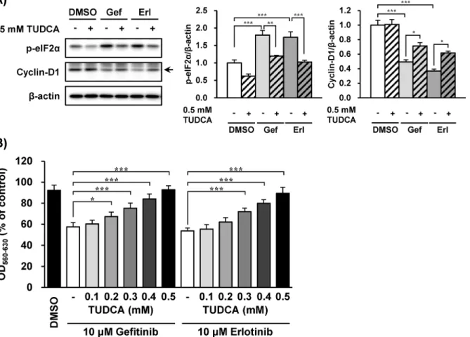 Fig 5. The eIF2 α phosphorylation and cyclin-D1 reduction by EGFR inhibitors were suppressed by tauroursodeoxycholic acid (TUDCA)