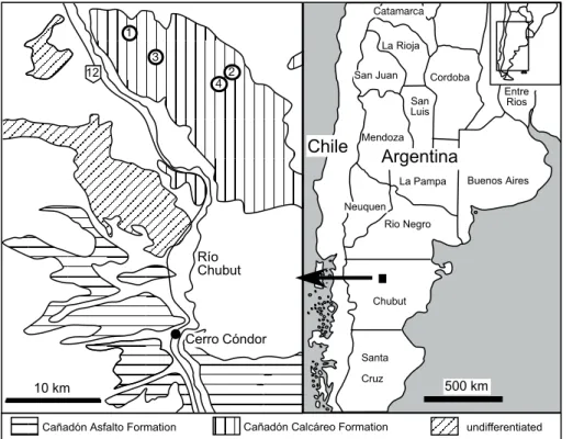 Fig. 1. Simplified geological map of the study area and  geo-graphical setting of the  local-ities mentioned in the text.