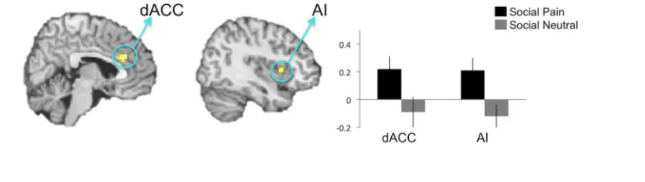 Fig 7. A. Brain regions whose activation was found to be functionally coupled with DMPFC during social pain reliving (relative to reliving neutral social memories)